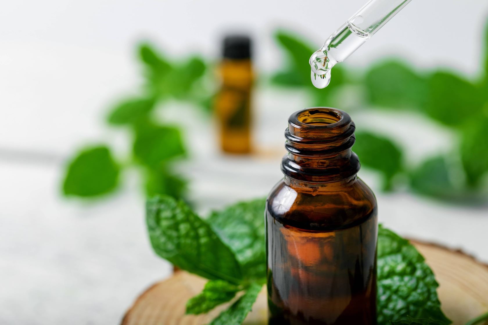 Peppermint Oil is a natural smell that rats hate. 