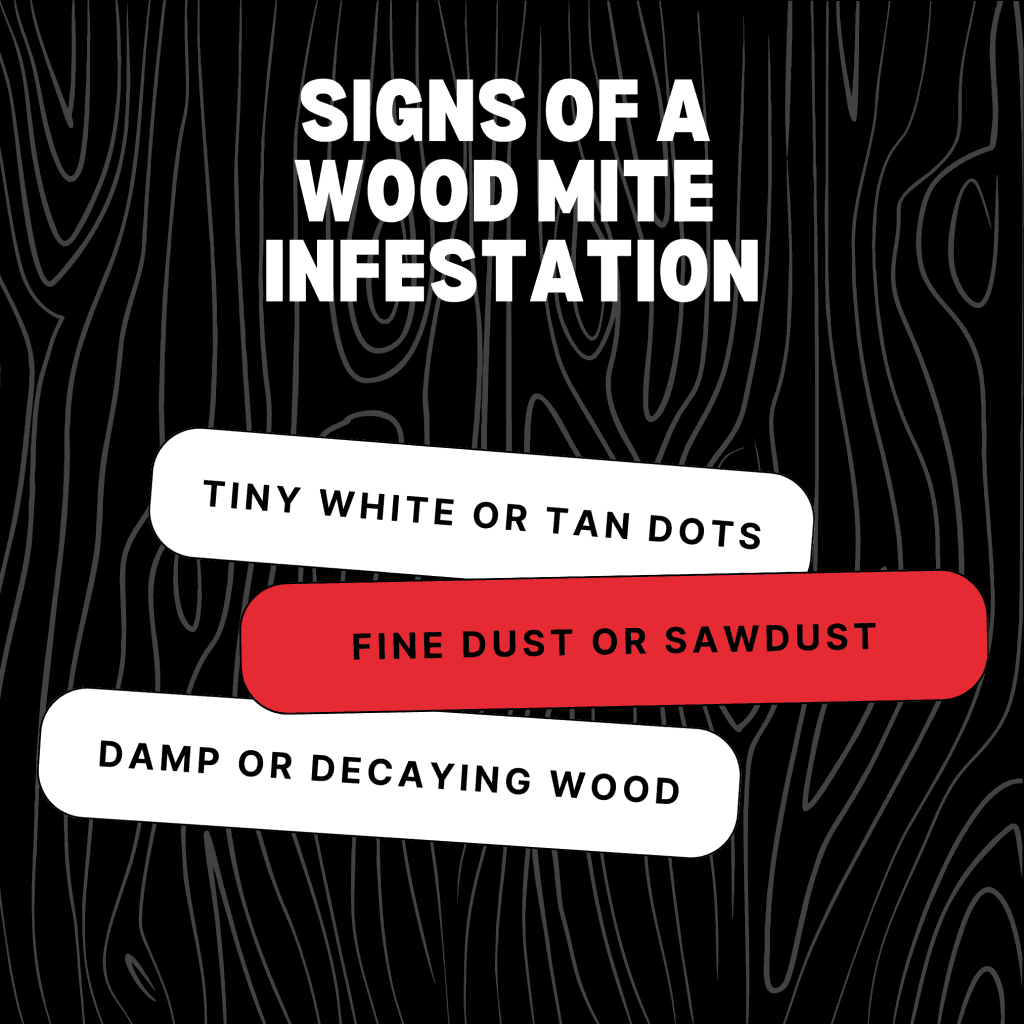 Signs Of A Wood Mite Infestation