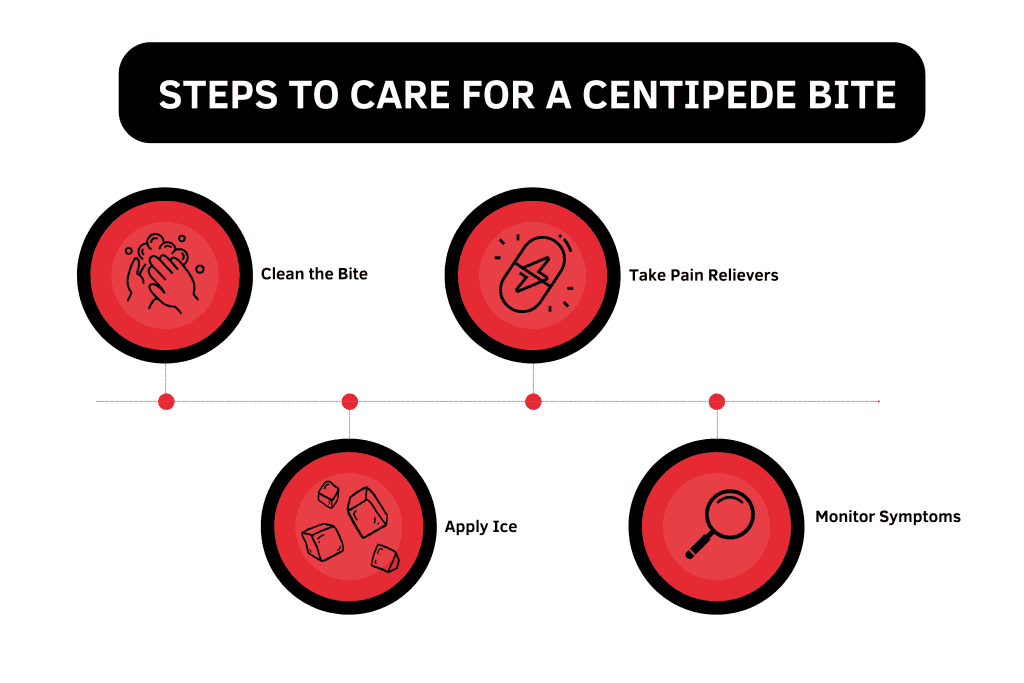 Steps To Care For A Centipede Bite 2