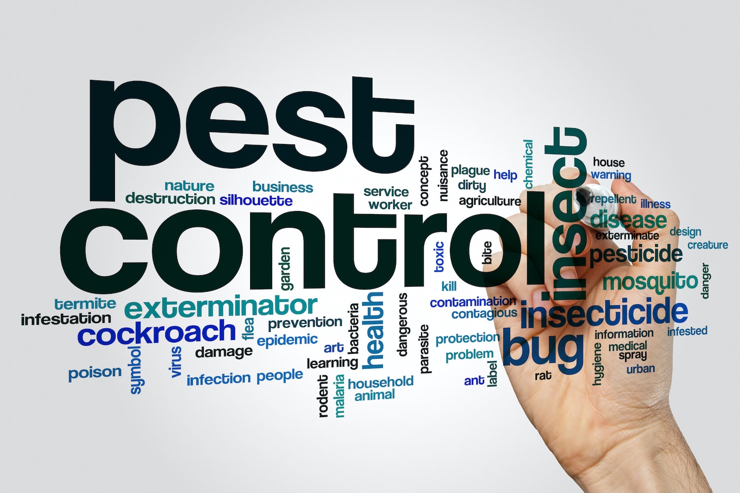 Pest Control in South Florida